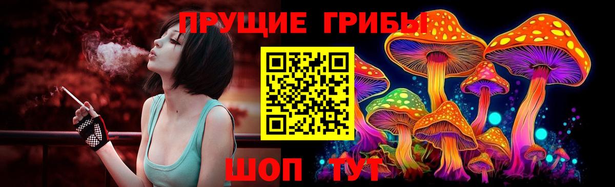 Псилоцибиновые грибы Psilocybine cubensis  Вход с VPN  как найти закладки  Чайковский 